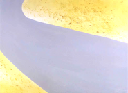 WAH BG 1.png (248 KB)