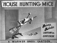 House-hunting-mice
