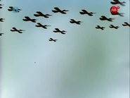 IMG 2568.png (1.59 MB)