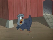 BatchelderIMG 2842.jpeg (229 KB) Batchelder's "big eye" reactions.