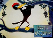 Raven McQuandry