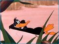 Daffy Duck