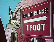 Ec road runner.jpg (15 KB) Wile E. Coyote on The Electric Company.