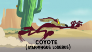 Swoop De Doo Wile E Coyote