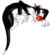 Sylvester the cat