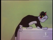 A black cat identical to proto-Sam in "Mice Follies"