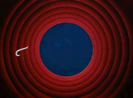 THAT'SALLGIFS.gif