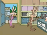Wile E. Coyote and his wife