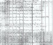 One-Meat-Brawl-Draft-2.jpg (155 KB)