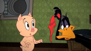 Daffy steals Porky's clothes