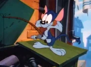 Furrball going dumpster-fishing