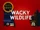 Wacky Wild Life