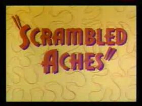 Road-runner-si-wile-e-coyote--scrambled-aches