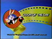 The Bugs Bunny and Tweety Show