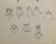 Model sheet 3
