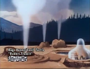 "Rabbit Transit"