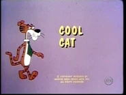 "Cool Cat"