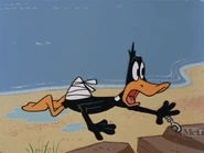 Matz 9.jpg (173 KB) When making reactions, they open their eyes widely.