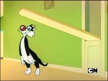 Sylvesterinwhiteface who'skittenwho