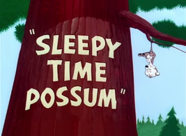 SleepyTimePossumTitle