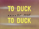 To Duck .... or Not to Duck