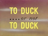 To Duck .... or Not to Duck