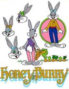 Honey Bunny Model Sheet-1-