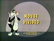 "A Mouse Divided"