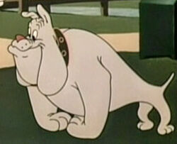 Hector the Bulldog Looney Tunes Wiki Fandom