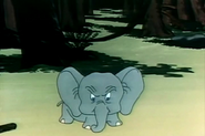 Bobo the Elephant