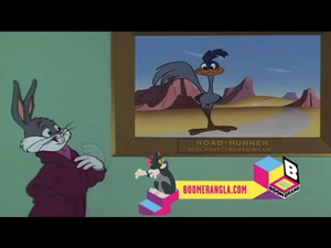 Taken from an airing on the Boomerang LA channel