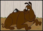 Marc Anthony with his kitten Pussyfoot.