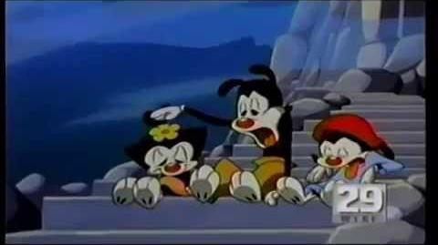 Animaniacs Promo- Craving (1994)