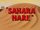 Sahara Hare