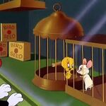 A Bird in a Guilty Cage (Short 1952) - IMDb