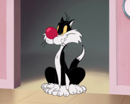 Sylvester in Looney Tunes Cartoons