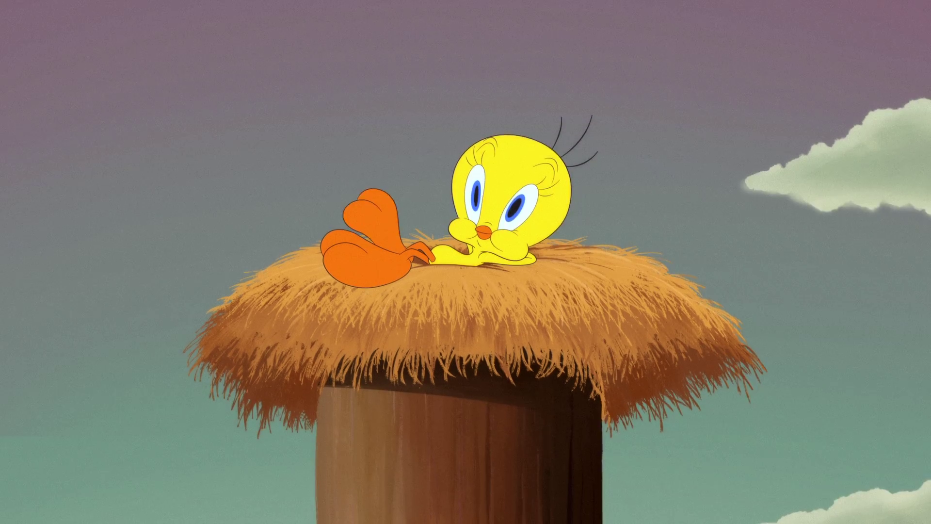Daffy Duck, Looney Tunes Wiki