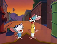 Pinky and Brain at Hollywood