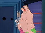 Bugs sometimes had a center line on the face, which would be used for Harris' drawings.