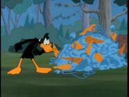 Daffy notices the strange looking carrots, unaware of the danger that is about to be unleashed.