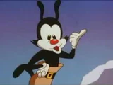 Yakko Warner
