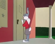 Daisy lola 5.jpg (40 KB)