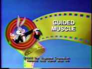 "Guided Muscle"