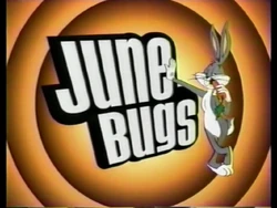 The logo used in 2001.