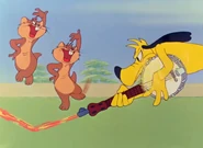 The dog unsuccessfully attempts to kill the gophers whom were dancing to the music with booby-trapped musical instruments.