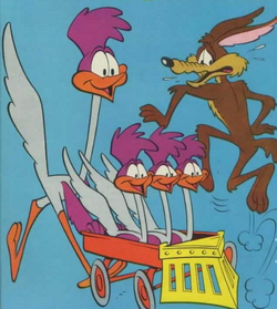 Road Runner | Looney Tunes Wiki | Fandom