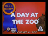 A Day at the Zoo