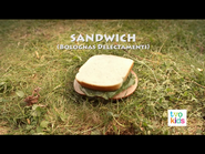 The Sandwich
