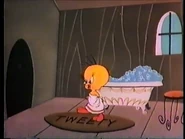 "That nasty ol' peeping tom cat!"
