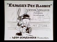 "Elmer's Pet Rabbit"